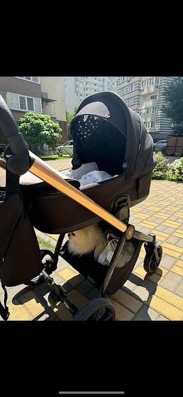 Коляска Tutis Mio 3+ (2 в 1) - маневрена, прохідна, повна комплектація на lalafo.ua Коляска Tutis Mio 3+ (2 в 1) - маневрена, прохідна, повна комплектація